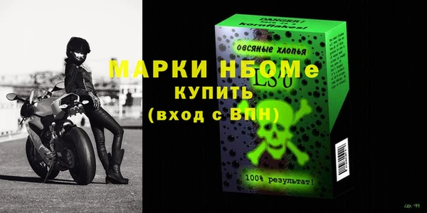 сатива Аркадак