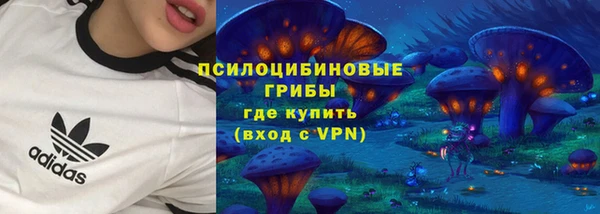 хмурый Армянск