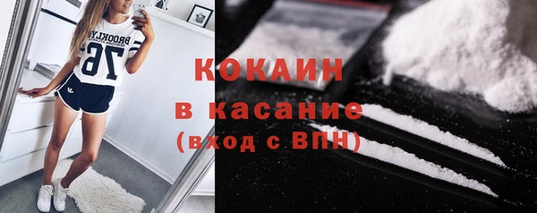 сатива Аркадак