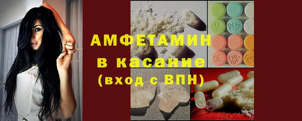 сатива Аркадак