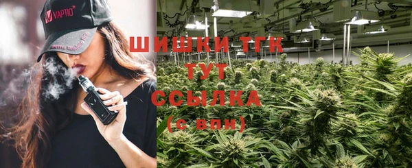сатива Аркадак