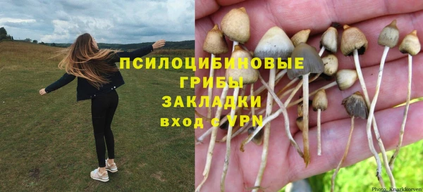 сатива Аркадак
