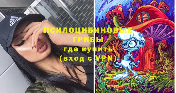 твердый Арсеньев