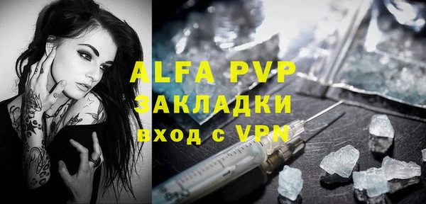 сатива Аркадак